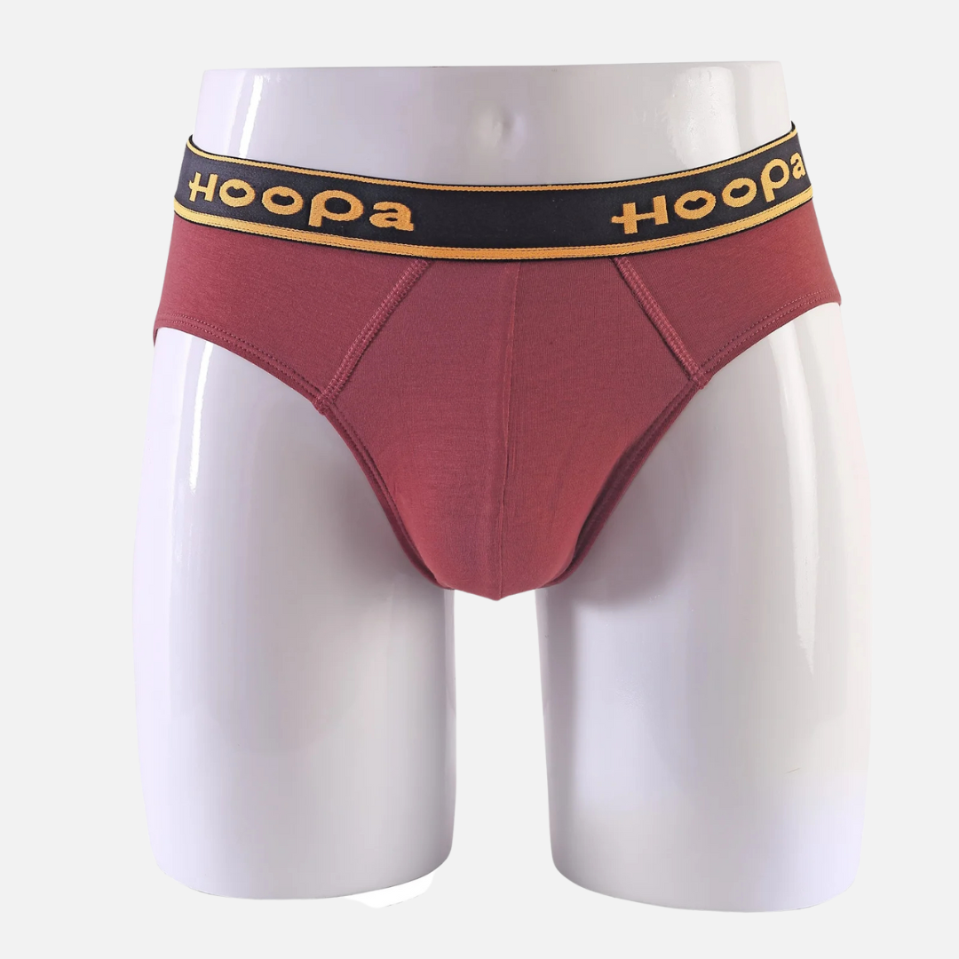 Hoopa Mens Brief